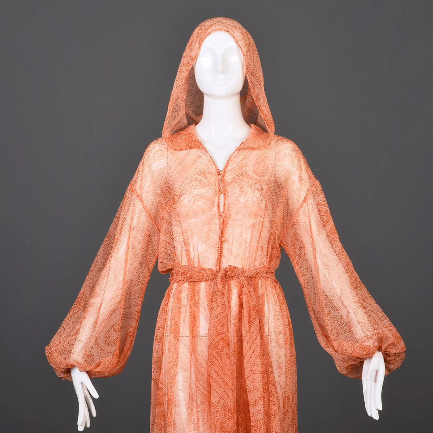 1970s Flowy Sheer Maxi Dress with Hood