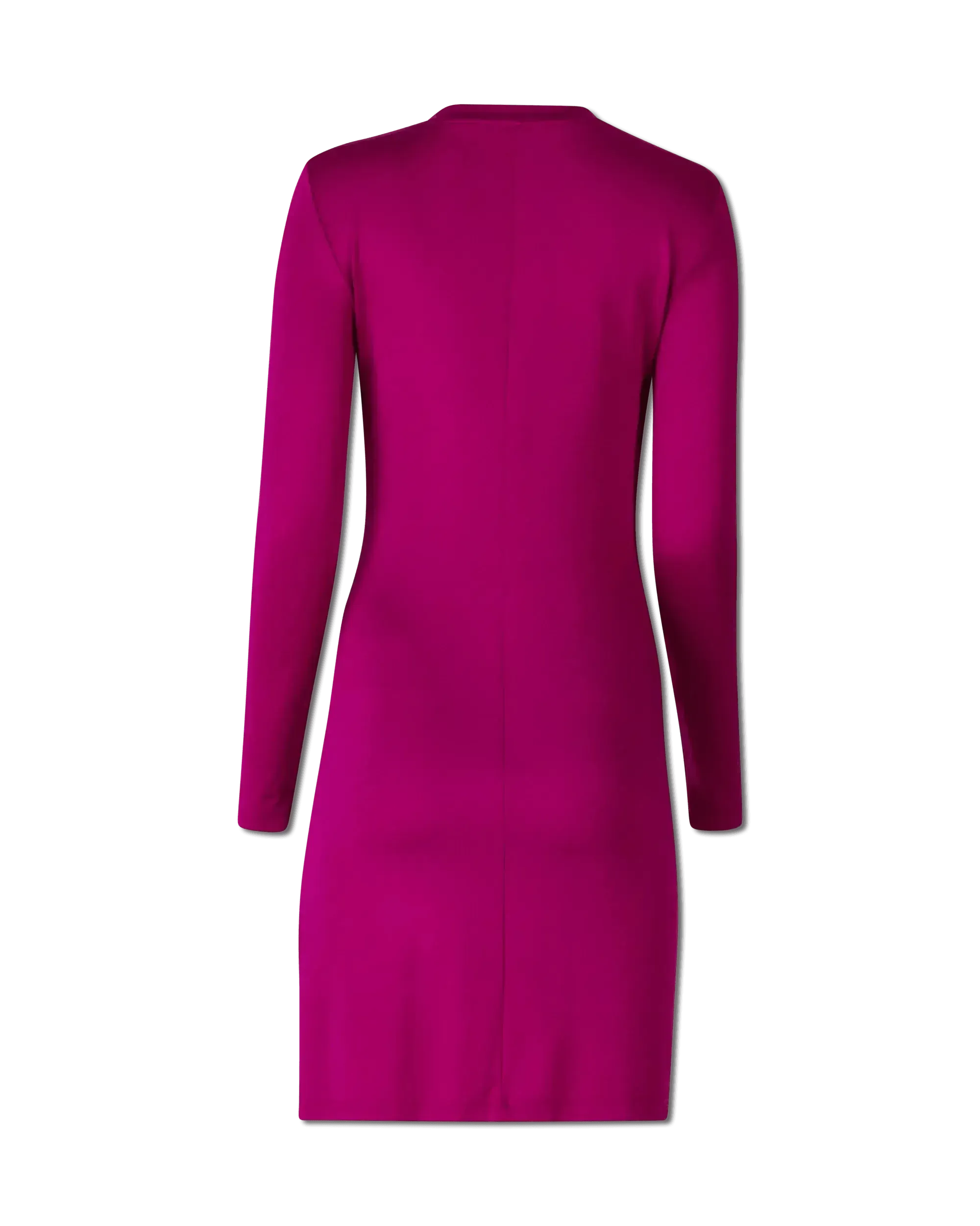 Bodycon Long-Sleeved Dress