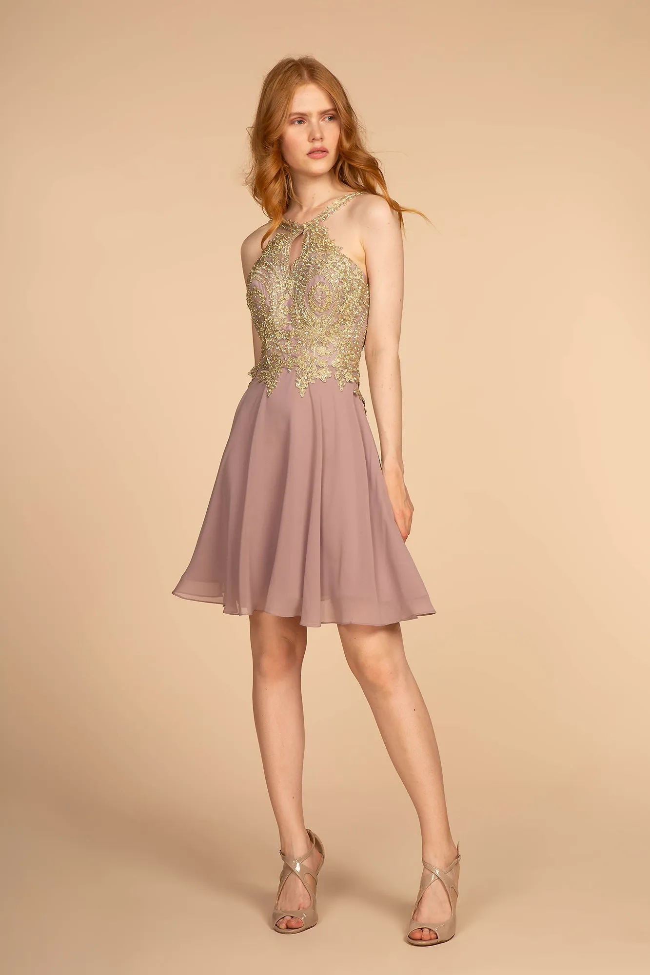 Embroidered Bodice Chiffon Short Dress