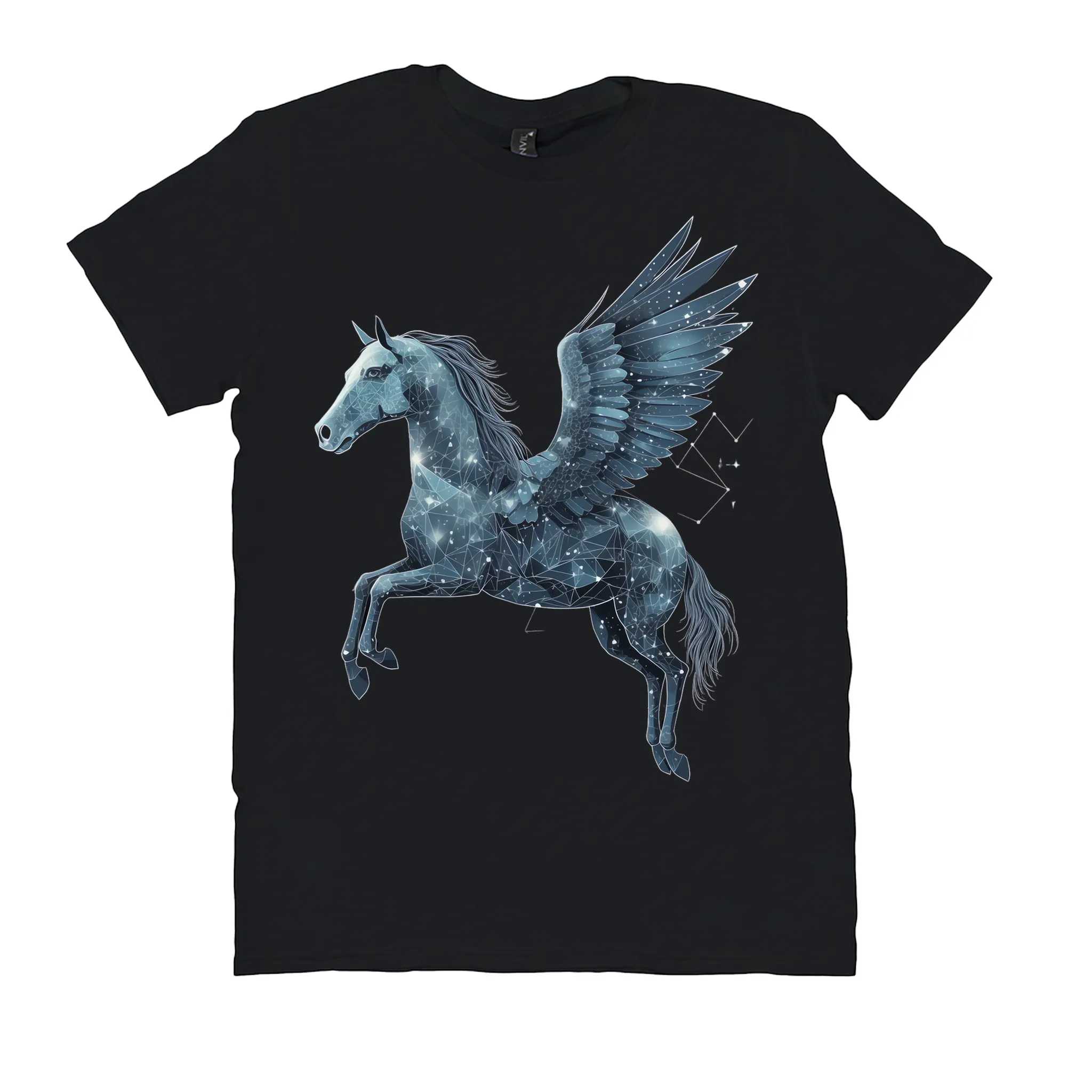 FantasyRealmPegasus X9R T-Shirt