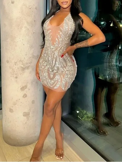 Nude & Silver Rhinestone Mesh Mini Dress